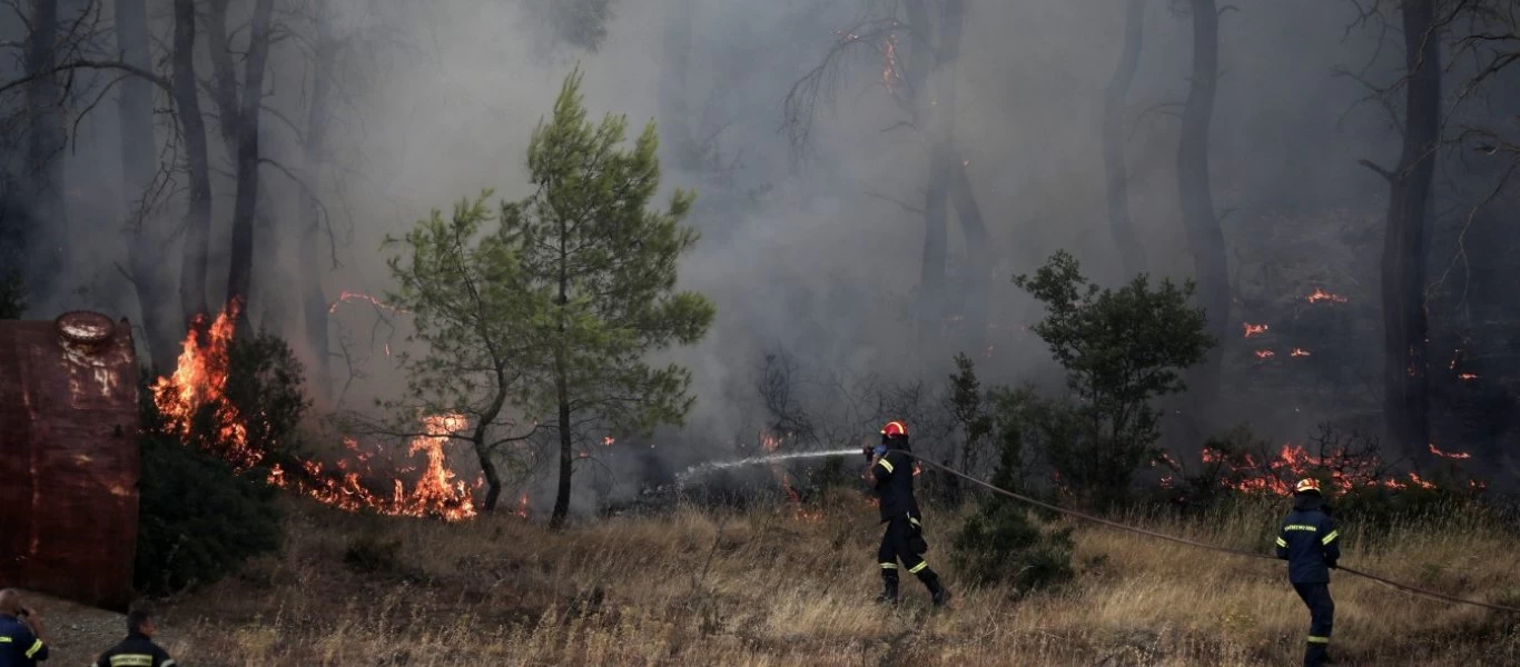 Μεγάλη φωτιά ξέσπασε σε δάσος στην Κάρυστο - Επιχειρούν 47 πυροσβέστες με 15 οχήματα (upd)